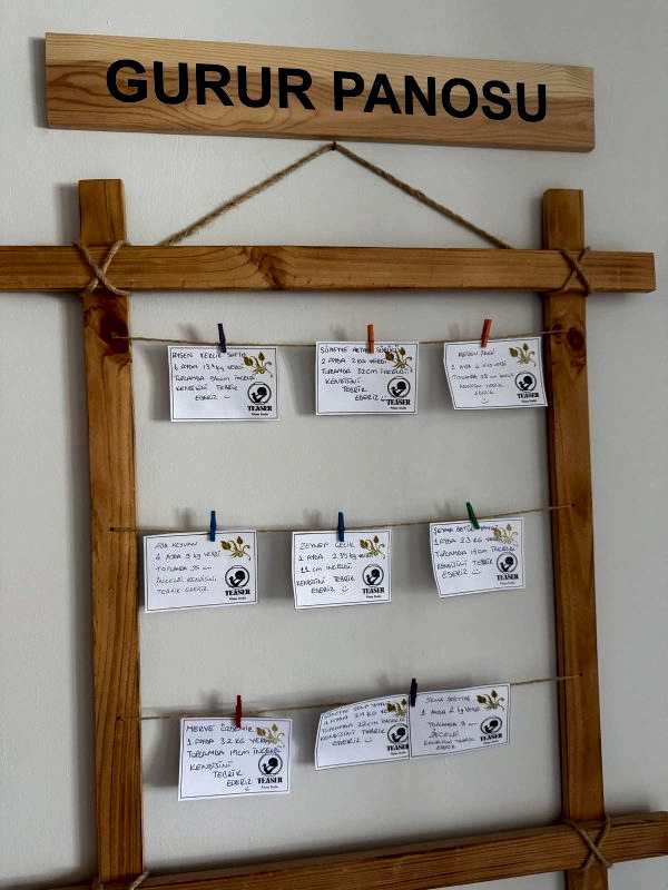 WhatsApp Image 2025-09-23 at 09.44.48